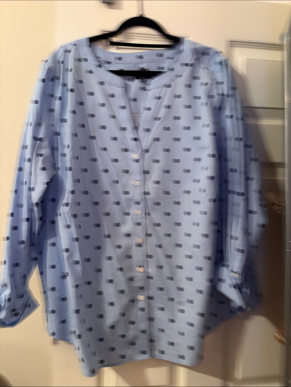 Talbots Light Blue Polka Dot Button-Front Blouse